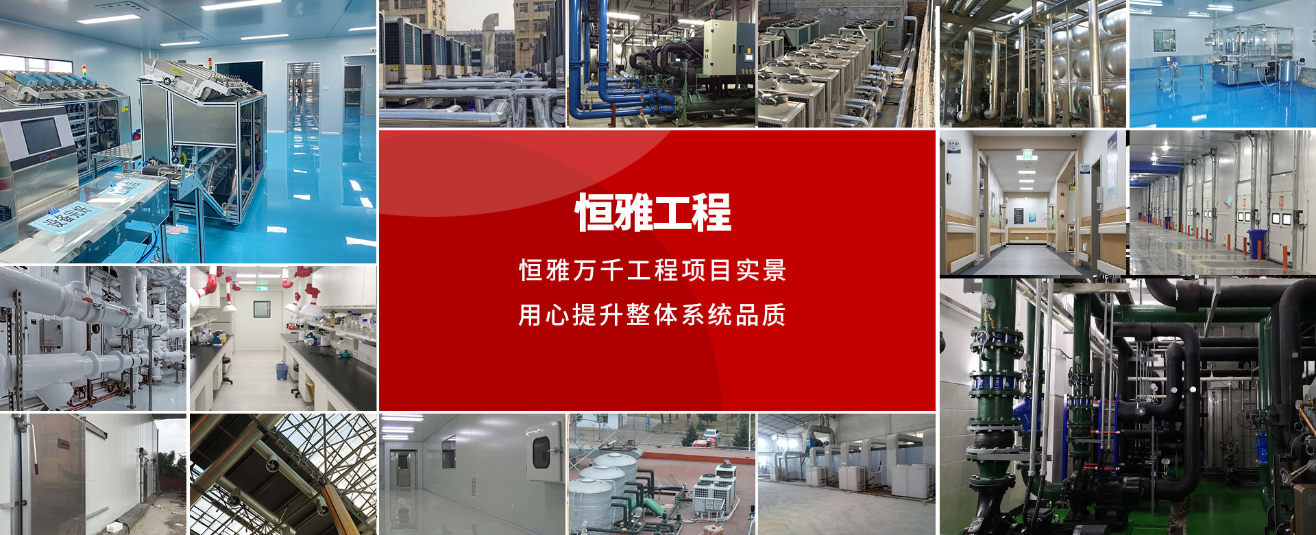 ���������Ϊ�������������б�ɹ���Ӧ��