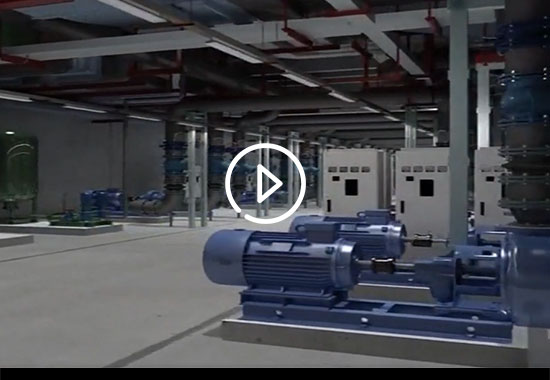 ������ʱ