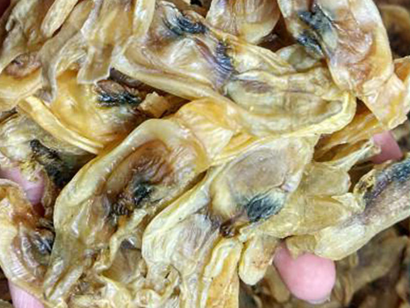 ɽ�����Ӻ����Ŀ