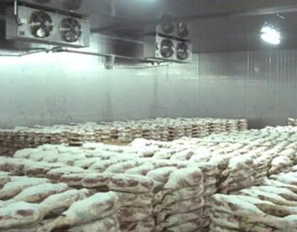 ������⽨������迼����Щ����