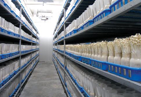 ʳ�þ������������乤�����ʩ��