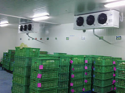 �߲�ˮ�����������ı������ȽϺ����� 