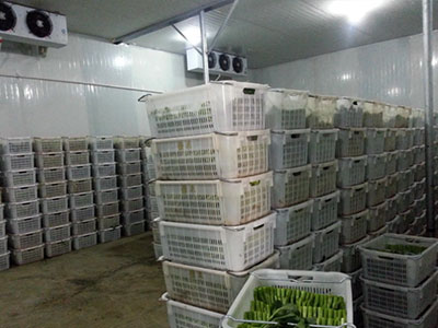 �����������ϵͳ�ڵ���ǰҪע������ 