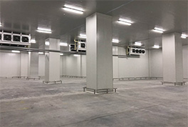 ׼ʱ���������������������