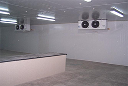 ����������ĺ��ѡ��