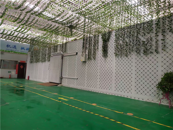 רҵ�Ƶ����װ�����Ӧ��ע����Щ?