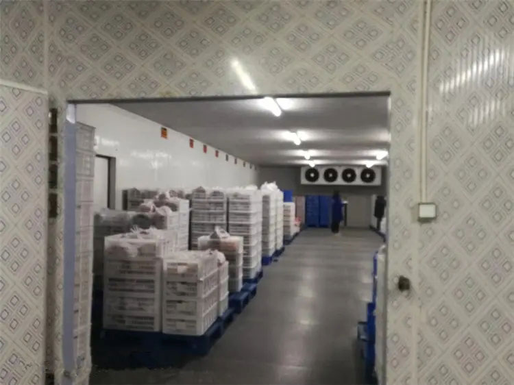 ͼΪ������ʱ���̽�������