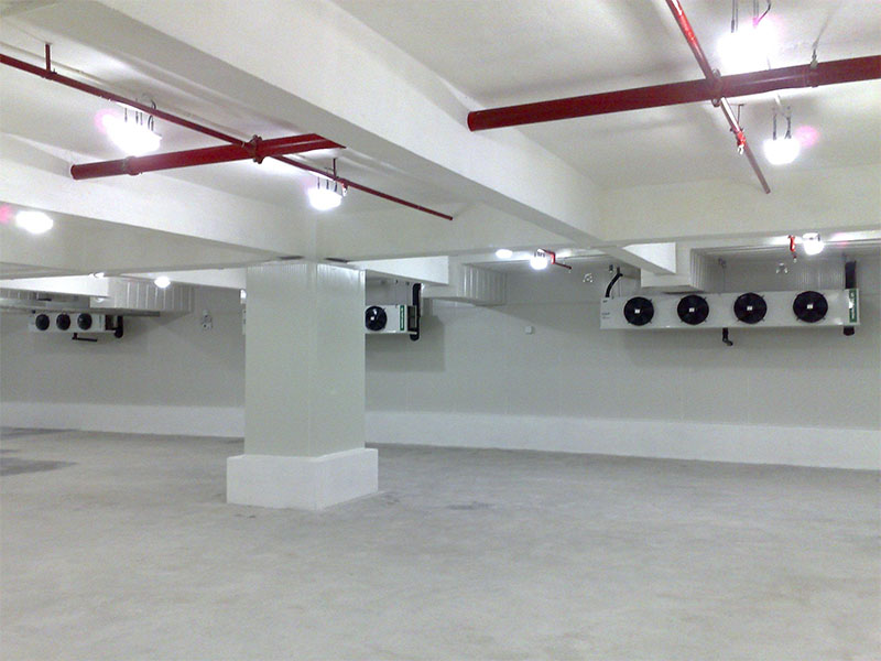 5000ƽʳƷ�����䶳��Ľ� -18�涳�⽨����� 